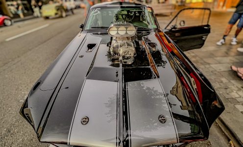 AmeriCarna 2024 Photo Gallery
