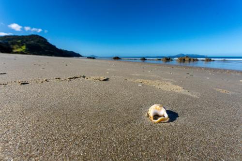 Tag 15 - Mangawhai Heads Beach