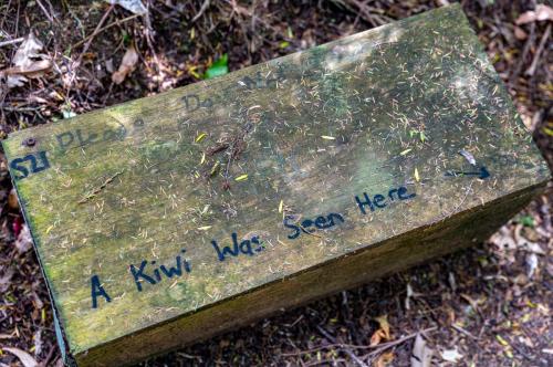 Tag 18 - Waitangi Trail