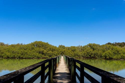 Tag 18 - Waitangi Trail