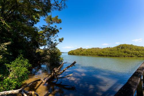 Tag 18 - Waitangi River