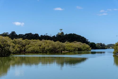 Tag 18 - Waitangi River