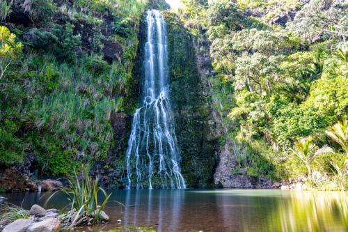 69Tag 23 - Karekare Falls