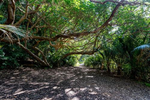 68Tag 23 - Karekare Falls