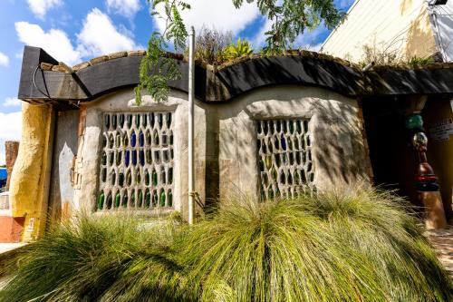 53_Tag 21 - Kawakawa