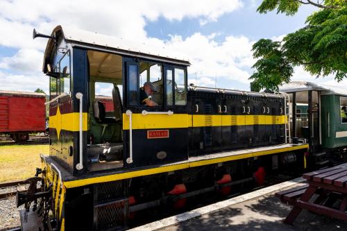 56_Tag 21 - Kawakawa