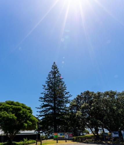 60_Tag 21 - One Tree Point