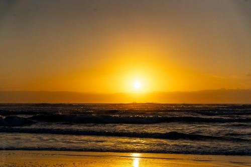 79_Tag 23 - Piha Beach