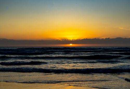 78_Tag 23 - Piha Beach