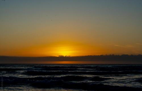 80_Tag 23 - Piha Beach