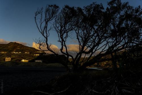81_Tag 23 - Piha Beach