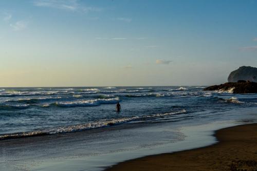 73_Tag 23 - Piha Beach