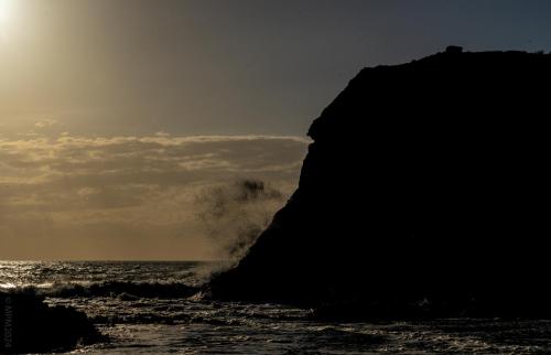 76_Tag 23 - Piha Beach
