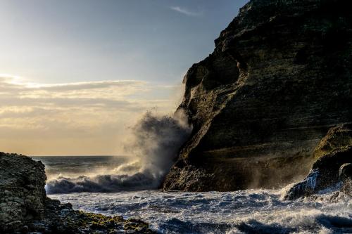 72_Tag 23 - Piha Beach
