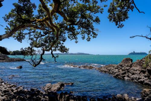 07_Tag 19 - Waitangi