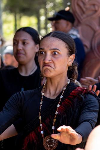 43_Tag 20 - Waitangi Day