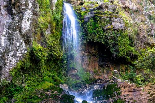 83_Tag 25 - Paranui Falls