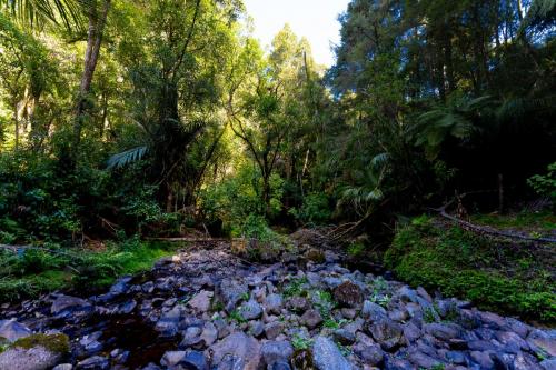 85_Tag 25 - A.H. Reed Memorial Park