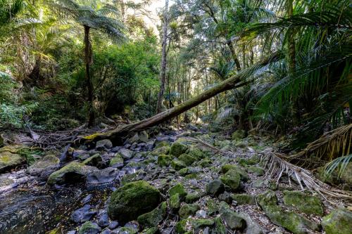 86_Tag 25 - A.H. Reed Memorial Park