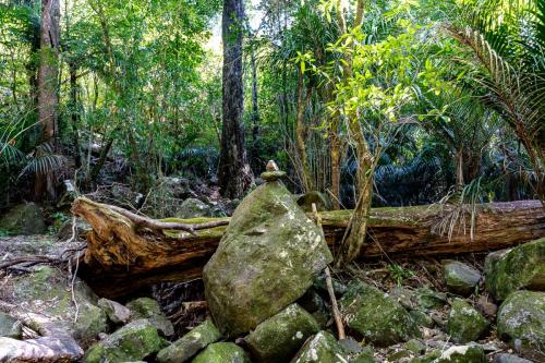 87_Tag 25 - A.H. Reed Memorial Park