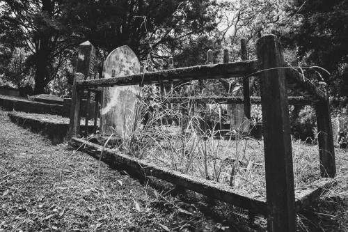 017_Tag 26 - Auckland Street Photos