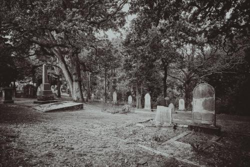 018_Tag 26 - Auckland Street Photos