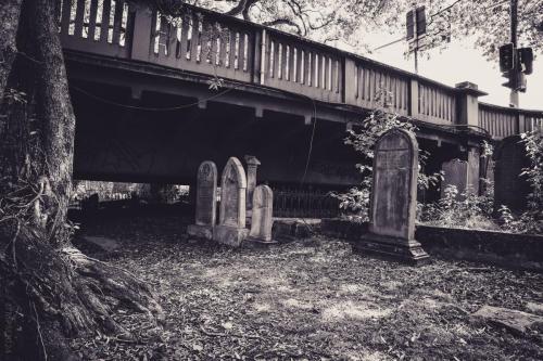 019_Tag 26 - Auckland Street Photos