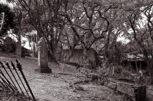 022_Tag 26 - Auckland Street Photos