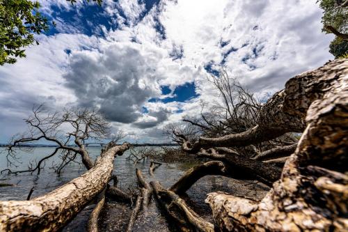 063_Tag 30 - Hidden Cove