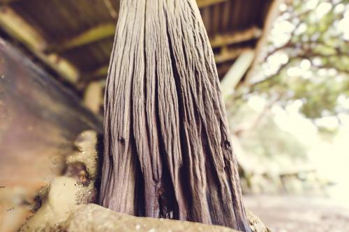 064_Tag 30 - Hidden Cove