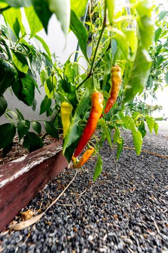 067_Tag 30 - Stanley Point