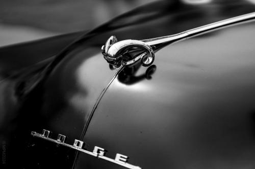 092_Tag 38 - AmeriCARna