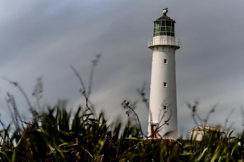 011_Tag 36 - Cape Egmont Lighthouse