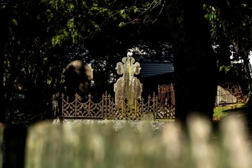 007_Tag 41 - Devonport