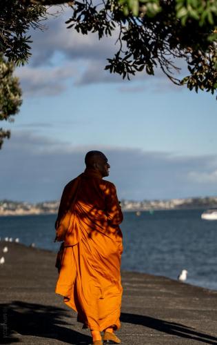 011_Tag 41 - Devonport