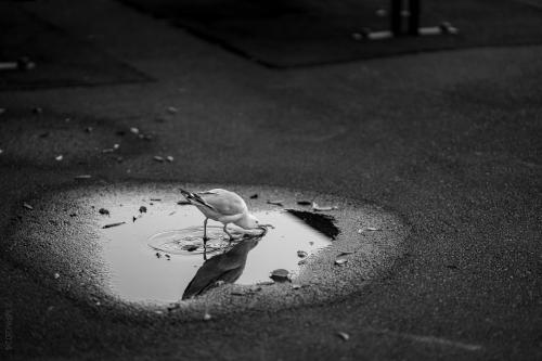 012_Tag 41 - Devonport