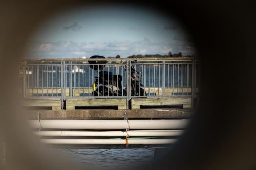 013_Tag 41 - Devonport