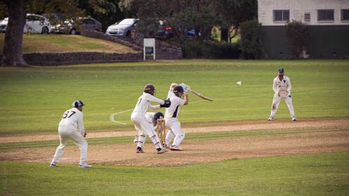 041_Tag 45 - Cricket