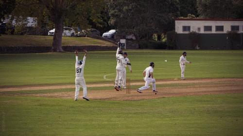 042_Tag 45 - Cricket