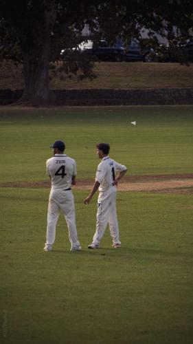 044_Tag 45 - Cricket