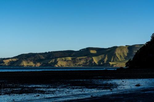 032_Tag 42 - Huia