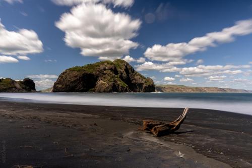 038_Tag 43 - Whatipu Beach