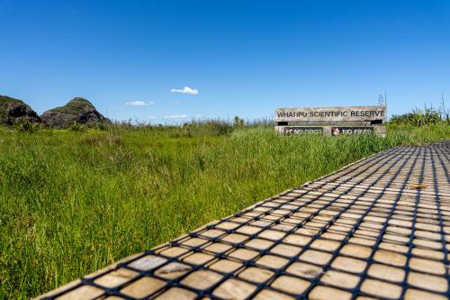 040_Tag 43 - Whatipu Beach