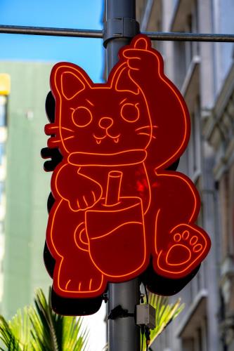 002_Tag 48 - Auckland