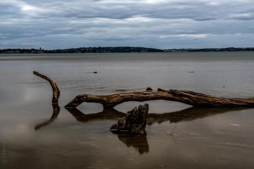 011_Tag 50 - Long Bay Beach