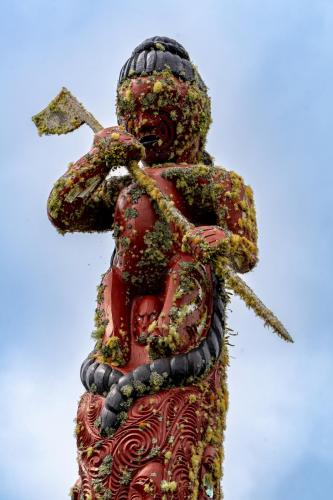 042_Tag 56 - Te Ruapekapeka