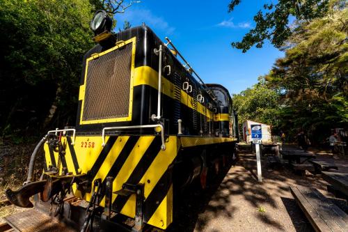 001_Tag 54 - Kawakawa