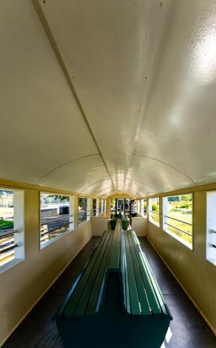 003_Tag 54 - Kawakawa