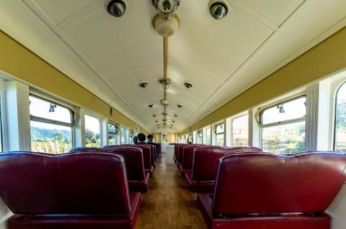 004_Tag 54 - Kawakawa