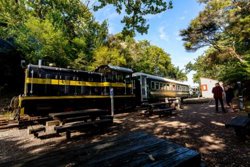 007_Tag 54 - Kawakawa